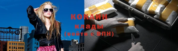 СК Алексин