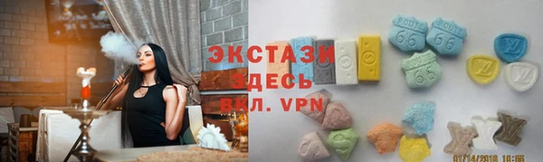 СК Алексин