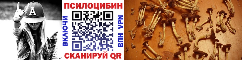 Псилоцибиновые грибы мицелий  Бирюч 